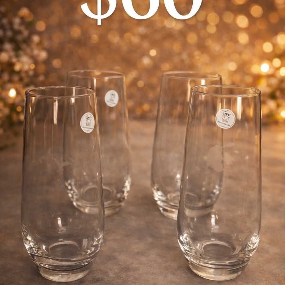 Princess House Clear Glass Tumbler Set